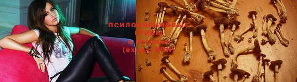 ПСИЛОЦИБИНОВЫЕ ГРИБЫ Верея