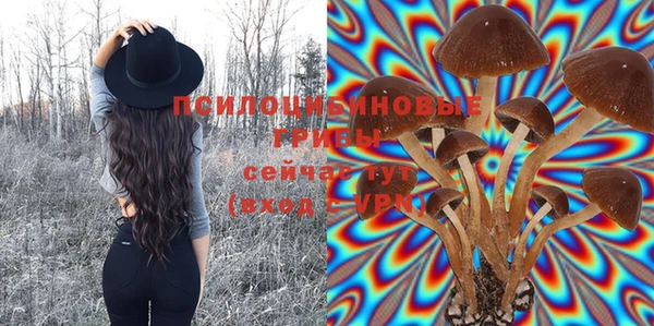 2c-b Верхний Тагил