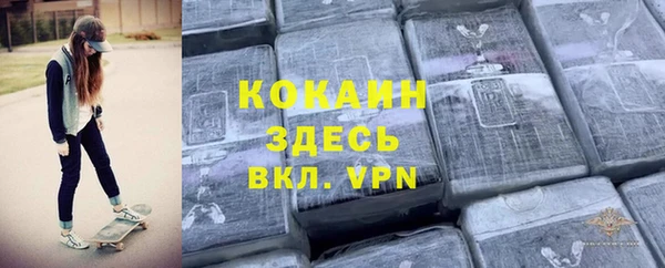 хмурый Бородино